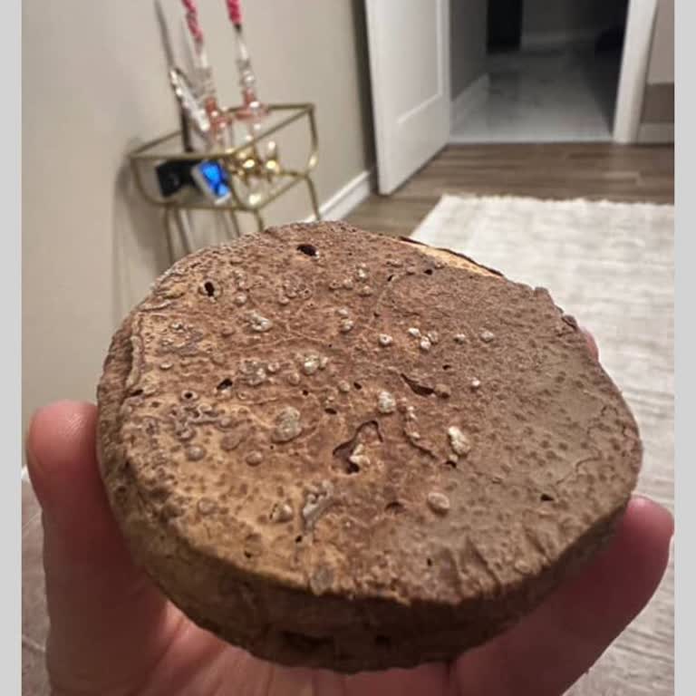 Son Kullanma Tarihi Geçmemiş Halley'de Bayat Ve Bozuk Ürün Şoku