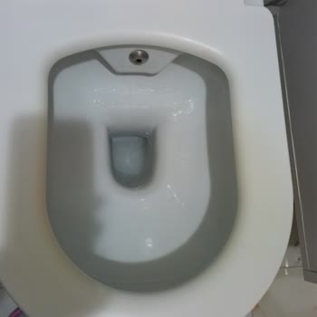 Kale Markalı Duş Başlığı Ve Klozet Kapaklarında Süreçte Çözülmeyen Sorunlar Ve Yetersiz Müşteri Hizmeti