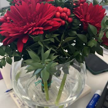 Görsele Uygun Olmayan Ve Eksik Gönderilen Kokina Siparişim İçin Çözüm Bekliyorum