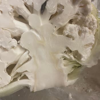 Şok Marketler Hijyen Ve Kalite Denetimleri Yok