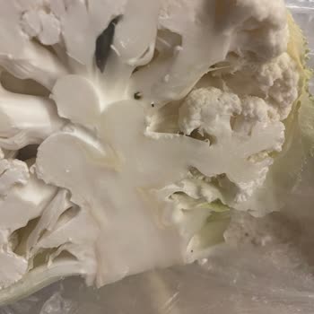 Şok Marketler Hijyen Ve Kalite Denetimleri Yok