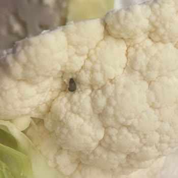 Şok Marketler Hijyen Ve Kalite Denetimleri Yok