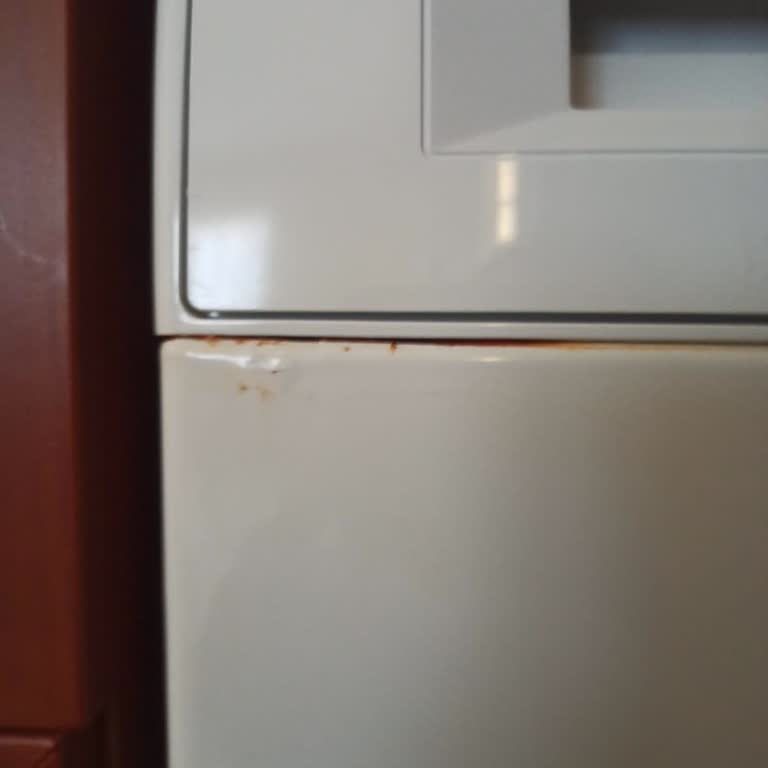 Bosch Çamaşır Makinesinde Kısa Sürede Oluşan Paslanma Ve Garanti Talebi