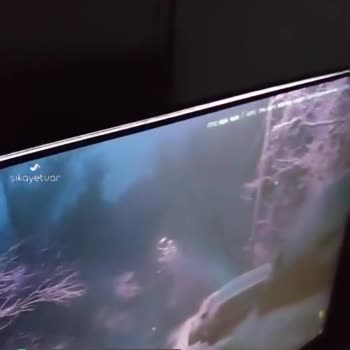 Asus Vg249q1r Model Monitör Arızası