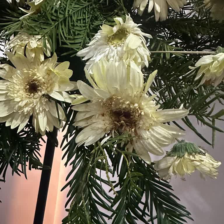 Çiçek Sepeti Çiçek Sepeti Özel Gün İçin Siparişim Zamanında Ve Özenli Teslim Edilmedi