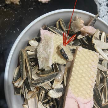 Eti Hoşbeş Gofretin İçinden Yanık Ve Sert Parça Çıkmasıyla Yaşadığım Tedirginlik