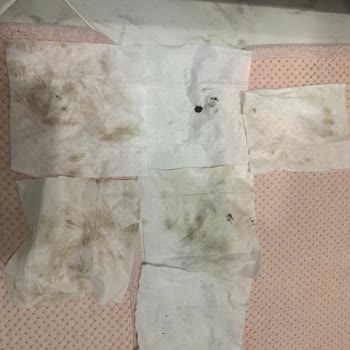 Bakım Sonrası Çamaşır Kurutma Makinem Kirli Ve Yağlı Şekilde Teslim Edildi