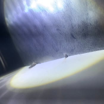 Bakım Sonrası Çamaşır Kurutma Makinem Kirli Ve Yağlı Şekilde Teslim Edildi