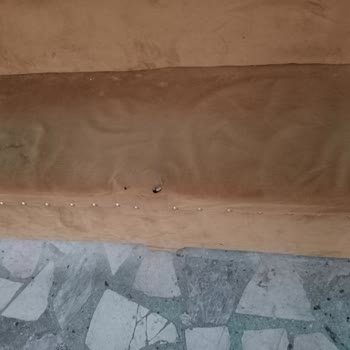 Özel Gülen Sözler Eğitim ve Rehabilitasyon Merkezi Hijyen ve Güvenlik Sorunu