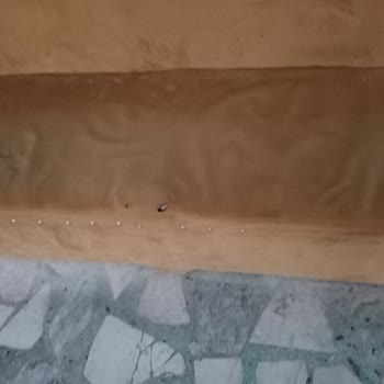 Özel Gülen Sözler Eğitim ve Rehabilitasyon Merkezi Hijyen ve Güvenlik Sorunu