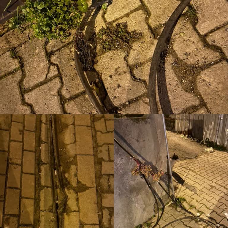 İnternet Altyapı Sorunları Nedeniyle Uzun Süreli Kesinti Ve Yetersiz Destek