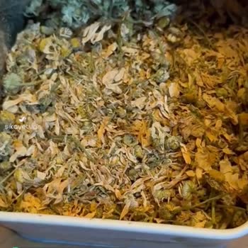 Trendyol Mila Tea Böcekli Çay