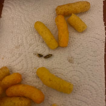 Cips Paketinden Çıkan Yabancı Cisimler Hijyen Endişesi Yarattı