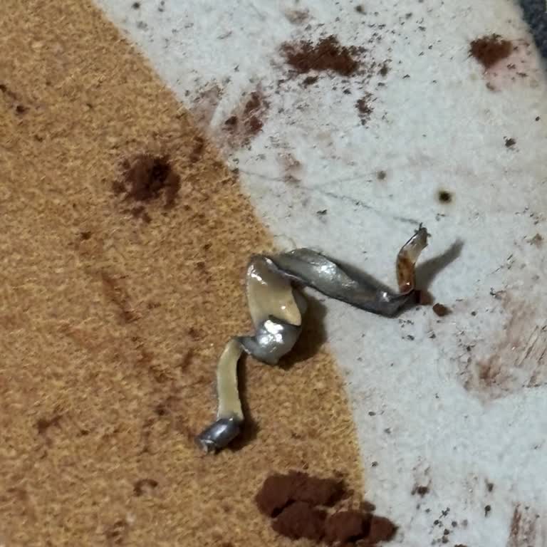 Eklerin İçinden Metal Parça Çıkmasıyla Büyük Hayal Kırıklığı