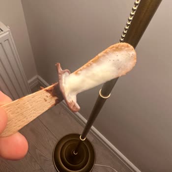 A101’den Alınan Magnum Dondurmada Yabancı Madde: Sağlık Ve Hijyen Endişesi