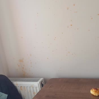 Güvenlik Garantili Schafer Düdüklü Tencere Patladı: Can Güvenliğim Tehlikeye Girdi, Acil İnceleme Ve Ürün Değişimi Talep Ediyorum