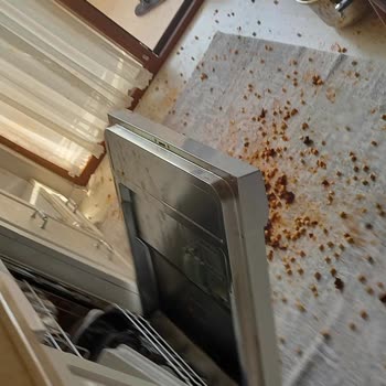 Güvenlik Garantili Schafer Düdüklü Tencere Patladı: Can Güvenliğim Tehlikeye Girdi, Acil İnceleme Ve Ürün Değişimi Talep Ediyorum