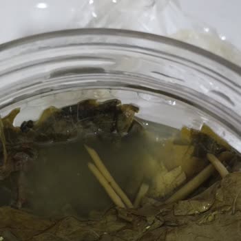 Fatma'nın Bahçesi'nden Bozuk Ürün ve İlgisiz Müşteri Hizmeti Deneyimi