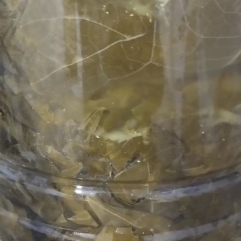 Fatma'nın Bahçesi'nden Bozuk Ürün ve İlgisiz Müşteri Hizmeti Deneyimi