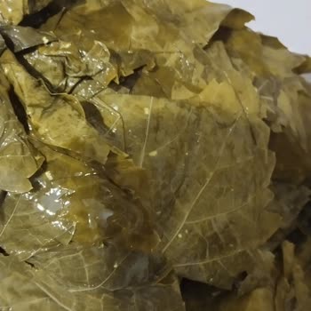 Fatma'nın Bahçesi'nden Bozuk Ürün ve İlgisiz Müşteri Hizmeti Deneyimi