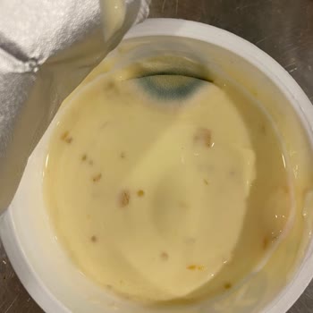 Son Kullanma Tarihi Geçmemiş Sek Quark Yoğurt Küflü Ve Bozuk Çıktı: Sağlık Ve Güven Sorunu