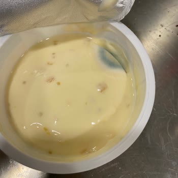 Son Kullanma Tarihi Geçmemiş Sek Quark Yoğurt Küflü Ve Bozuk Çıktı: Sağlık Ve Güven Sorunu
