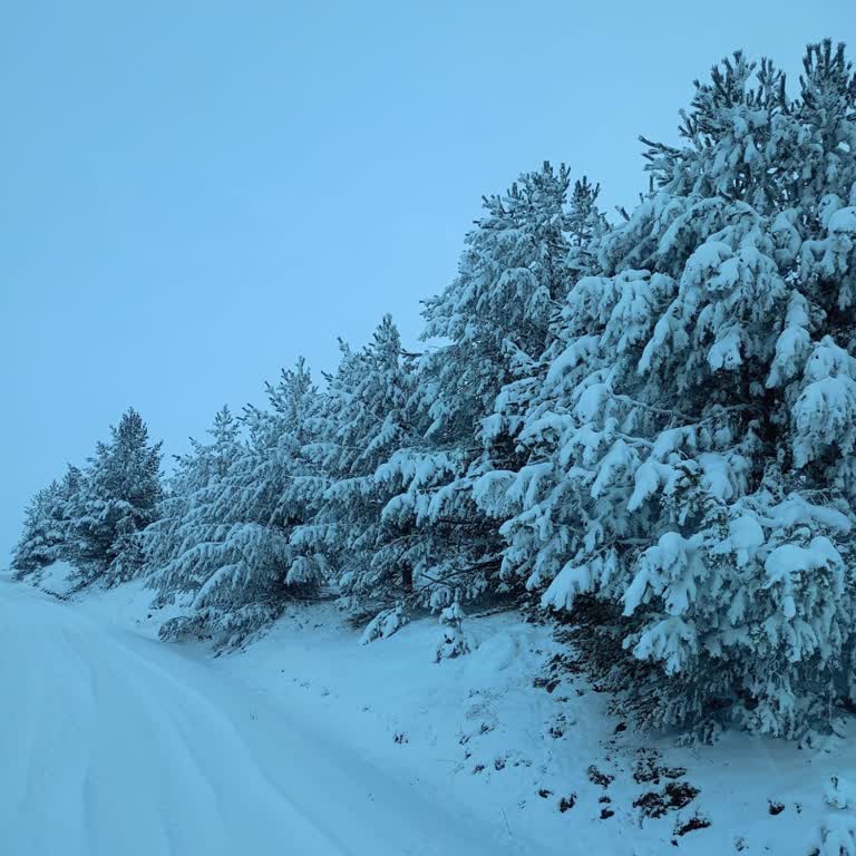 Instagram'da Takip Listesi Görünmeme Ve Canlı Yayın Açamama Sorunu