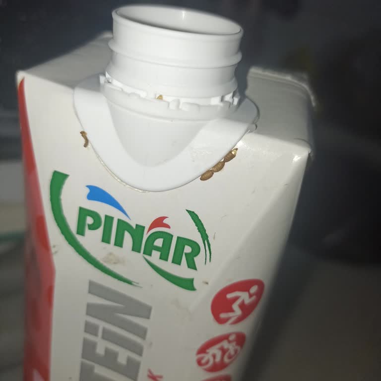 Pınar Sütte Böcek Kalıntıları!