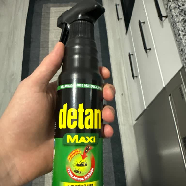 Kokusuz Böcek İlacı Hamam Böceklerini Artırdı Mağdur Oldum