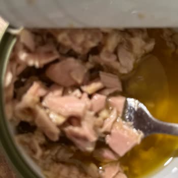 Fide Konserve Ton Balığı Konservesi Beklentiyi Karşılamadı, Güvenim Sarsıldı