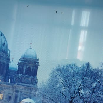 HI-LEVEL Televizyonun Ekranında Sinek Sorunu Ve Müşteri Hizmetlerinin İlgisizliği