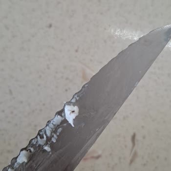 Berk Peynirden Çıkan Yabancı Madde