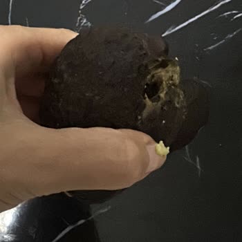 Carrefour SA Çürük Ve Küflenmiş Ürün Teslimatı Sonrası Yetersiz Çözüm Ve İlgisizlik!