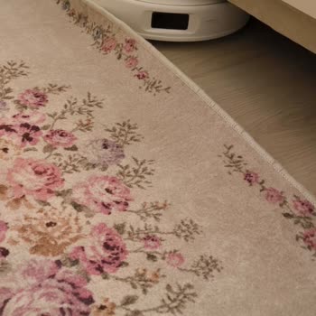 Roborock Q Revo 5v1 Robot Süpürgede Halı Temizliği Ve Performans Sorunları Nedeniyle İade Veya Değişim Talebi