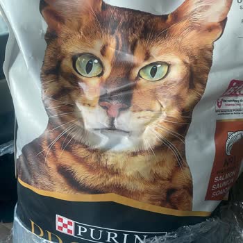 Pro Plan Trendyol’dan Satın Aldığım Sahte Kedi Maması Nedeniyle Mağduriyet Ve Geri İade Talebi