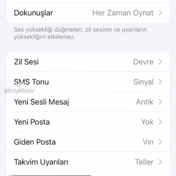 iPhone 13 Bildirim Sorunu