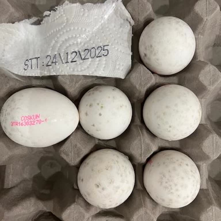 Aldığım Yumurtalarda Küf Ve Yanlış Boyut Sorunu Yaşadım