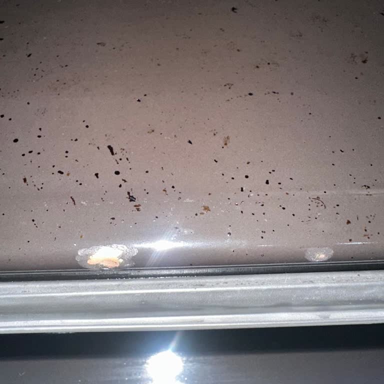 Yeni Alınan Ankastre Fırında Kısa Sürede Oluşan Kusur Ve Servis Mağduriyeti