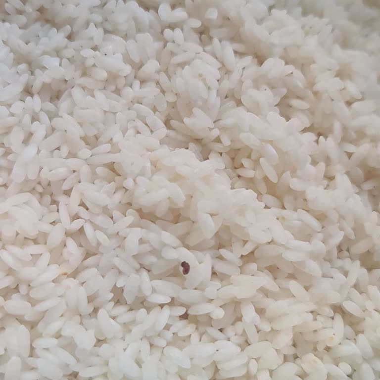 Satın Aldığım Pirinç Paketinden Böcek Çıkması Ve Ürün Değişim Talebi