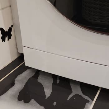 Arçelik Çamaşır Makinemde Sürekli Su Sızdırma Sorunu Ve Yetersiz Servis Desteği