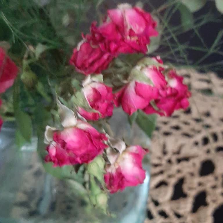 Solgun Çiçekler Ve İlgisiz Müşteri Hizmetleriyle Hayal Kırıklığı