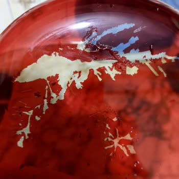 Paşabahçe Pasta Tabaklarının Boyası Yıkamada Soyuldu, Param Boşa Gitti