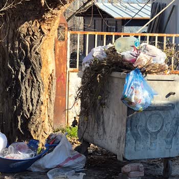 Orduzu Arslantepe Mahallesi'nde Çöp Konteyneri Yoğunluğu Ve Koku Sorunu