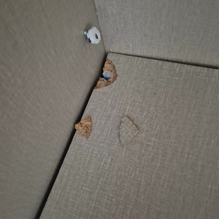 Doğtaş'tan Aldığım Dolabın Rafı Kırıldı, Garanti Talebim Reddedildi!