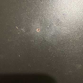 Ömür Boyu Garanti Sözüne Rağmen Amway Tencere Sorunuma Çözüm Bulunmadı