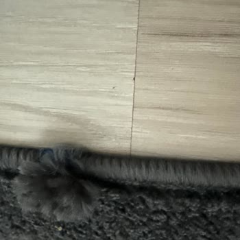 Güven Halı Yıkama | Sivas Halıma Zarar Verildi İlgilenilmedi!