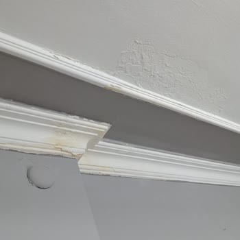 Ray Sigorta'nın Eksper Göndermeden Hasarımı Reddetmesi Ve Verilen Sözlerin Tutulmaması