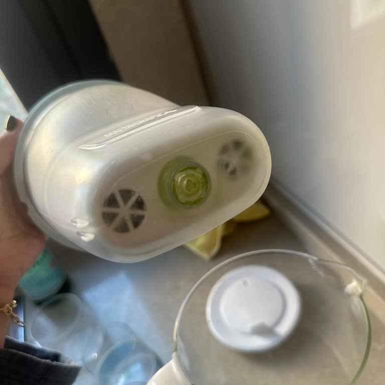 Brita Cam Sürahide Tekrarlayan Yosunlanma Sorunu Ve Sağlık Endişesi