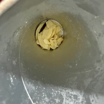 Cips Paketinden Tahta Parçası Çıktı: Sağlığımız Tehlikede!