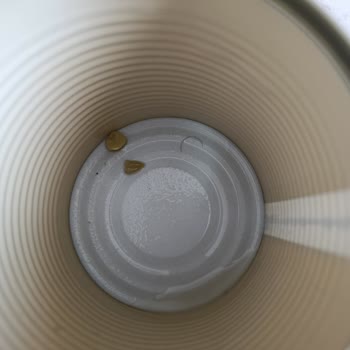 Bizim Vatan Konserve Bezelyede Hijyen Sorunu Ve Beklenmedik Yabancı Maddeyle Karşılaştım